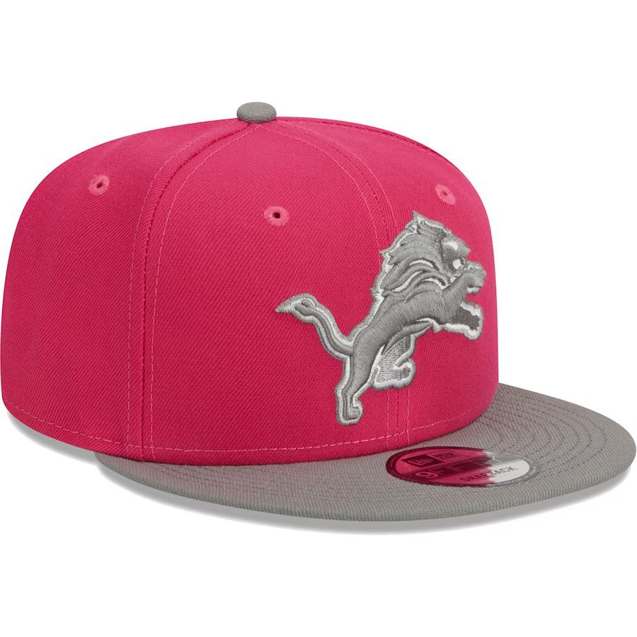 2023 NFL Detroit Lions Hat TX 202312152->nfl hats->Sports Caps